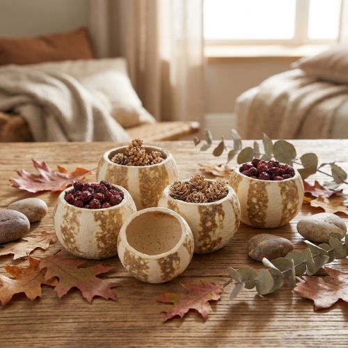 Lot de 50 coupes décoratives en courge naturelle blanchie Ø 5-6 cm | Floristik24.fr