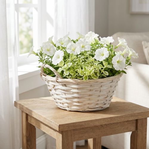 Corbeille blanche vintage avec anses Ø35cm | Floristik24.fr