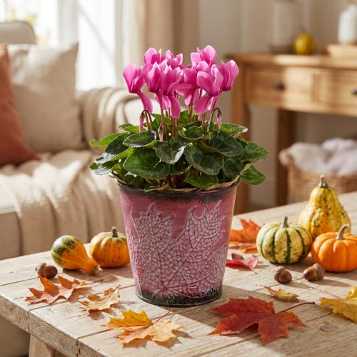 Petit cache-pot en métal avec motif feuilles, bordeaux, Ø10cm H10cm | Floristik24.fr
