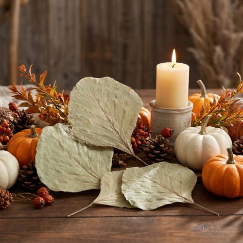 Lot de 50 feuilles naturelles