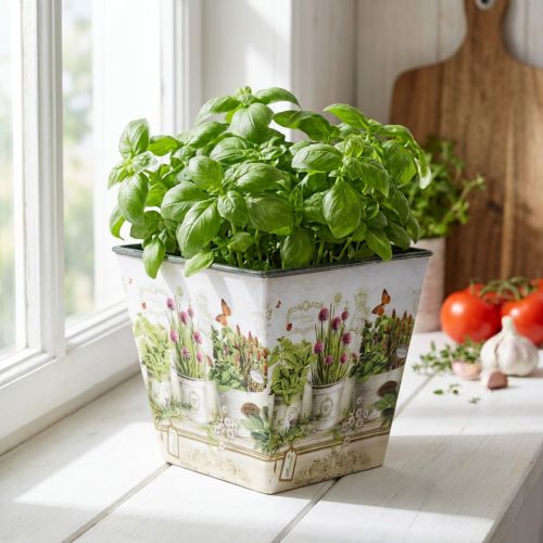 Pots de fleurs décoratifs carrés motif herbes aromatiques 13 cm | Floristik24.fr