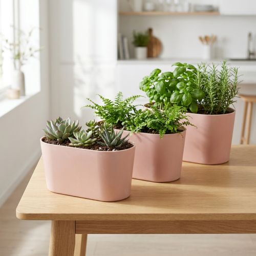 Coupe ovale en plastique rosé brun 20×10×11cm – Lot de 3 | Floristik24.fr