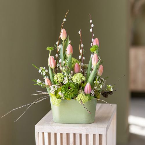 Lot de 3 coupelles ovales vertes en plastique 20×10×11 cm | Floristik24.fr