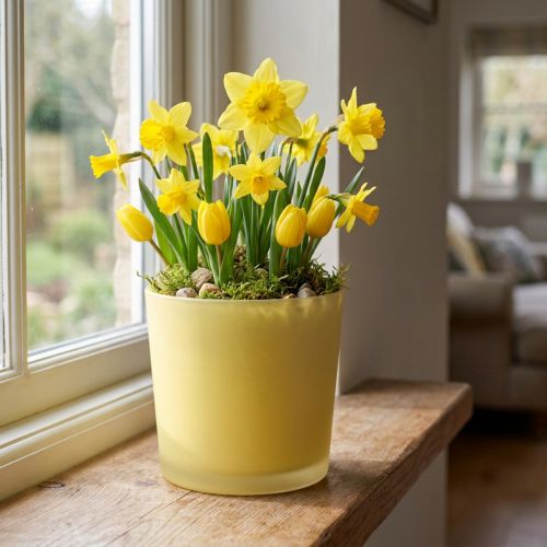 Petit pot en verre jaune mat pour décoration Ø11,5cm H11cm | Floristik24.fr