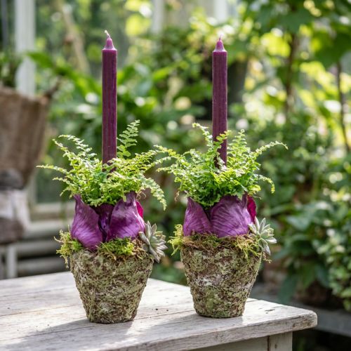 Pots cache-plantes effet bois et mousse Ø12,5cm H12cm – Lot de 2 | Floristik24.fr