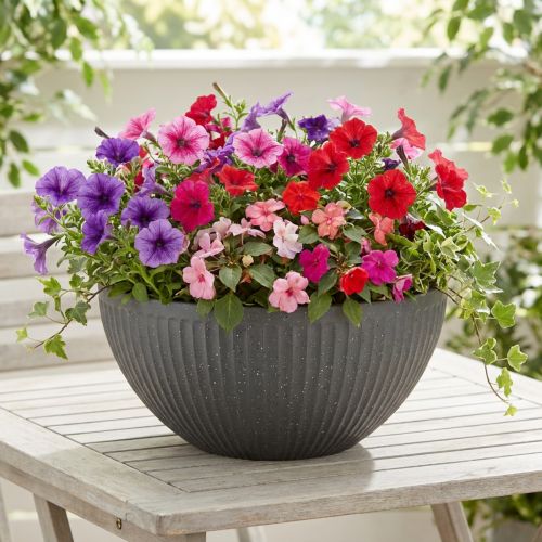 Coupe à Plantes en Plastique Anthracite Ø35 cm H16,5 cm | Floristik24.fr