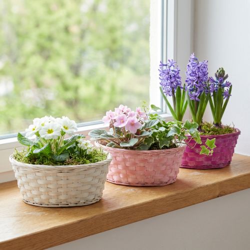 Lot de 6 paniers ronds en bois tressé Ø25cm - Rose, Blanc et Violet avec film plastique | Floristik24.fr