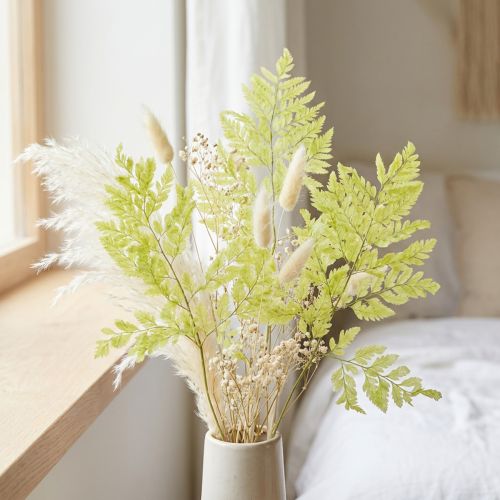 Fougères conservées naturelles 40 cm - Lot de 10 | Floristik24.fr