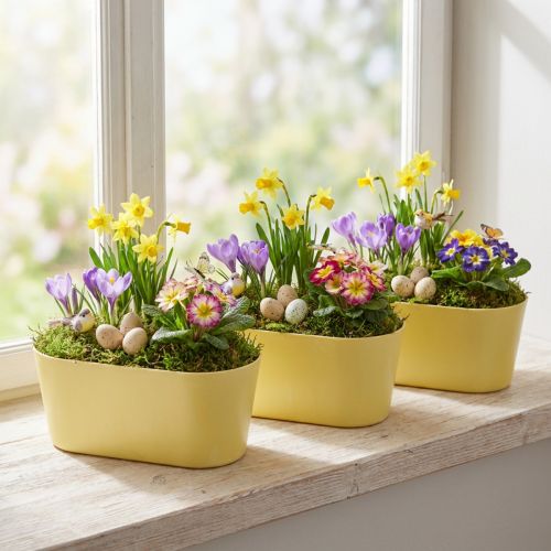 Coupe ovale décorative en plastique jaune 27×11×10 cm - Lot de 3 | Floristik24.fr
