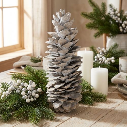 Pomme de pin de sucre blanchie 20-30 cm | Floristik24.fr