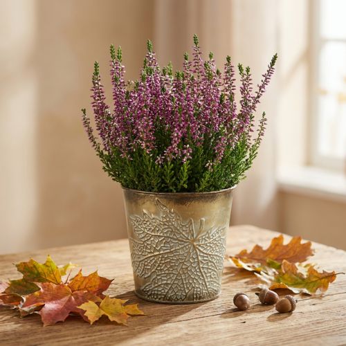 Cache-pot en métal doré avec motif feuille d'érable Ø10cm H10cm | Floristik24.fr