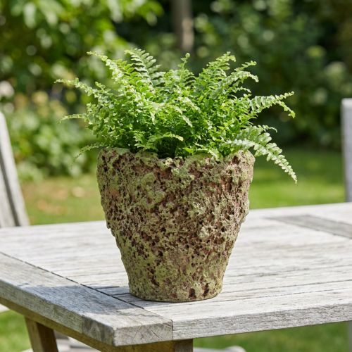 Cache-pot rustique effet mousse Ø17cm H16,5cm | Floristik24.fr