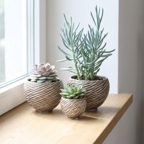 Coupe décorative en céramique beige et brune avec motif spirale, Ø 9 cm, lot de 4 | Floristik24.fr