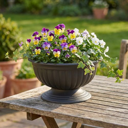 Coupe sur Pied Anthracite Ø30 cm | Floristik24.fr