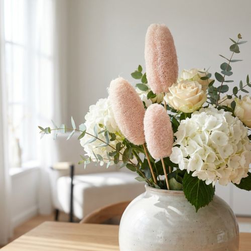 Luffa naturel blanchi sur tige - Lot de 25 pièces | Floristik24.fr