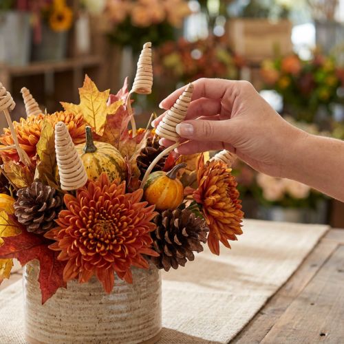 Cônes en bois naturel avec tiges longues, 25 pièces, 50-60 cm | Floristik24.fr