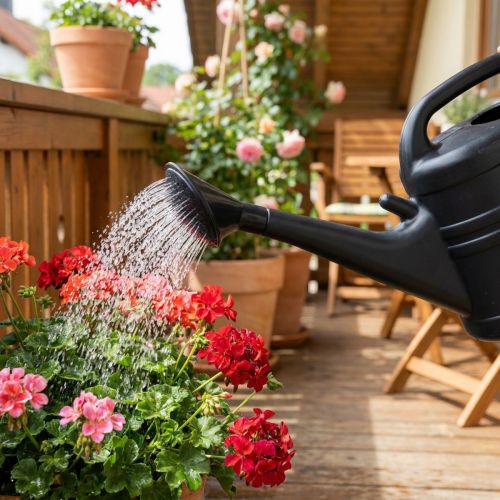 Embout arrosoir en plastique noir pour arrosoirs 10 L | Floristik24.fr