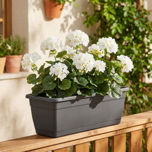 Geranium artificiel blanc 36 cm | Floristik24.fr
