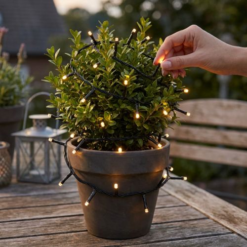Lanterne LED guirlande noire 144 lumières, 1,2 m, lumière chaude, intérieur et extérieur | Floristik24.fr