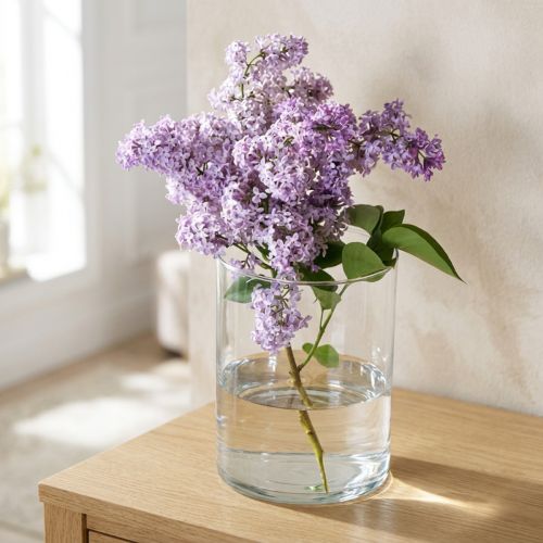 Vase en verre cylindrique transparent Ø12cm H20cm | Floristik24.fr
