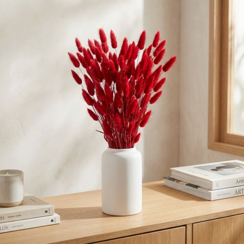 Herbe de Lagurus séchée rouge 60 cm 50 g pour décoration intérieure | Floristik24.fr