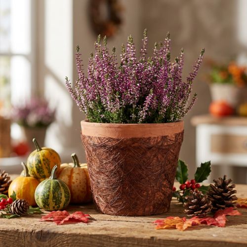 Ruban en Vlies marron 8 cm x 25 m pour décoration | Floristik24.fr