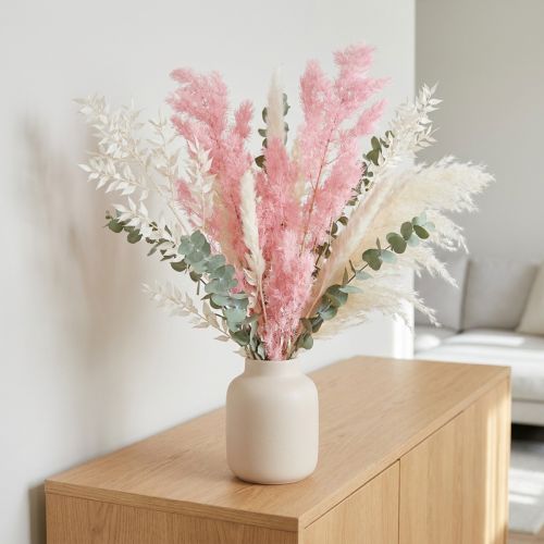 Fleurs séchées Asparagus rose 55-70 cm décoration naturelle | Floristik24.fr