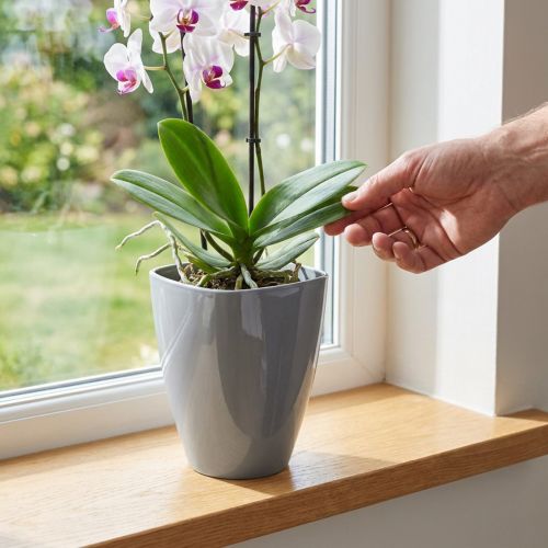 Pot pour orchidées en plastique gris brillant Ø12,5cm | Floristik24.fr