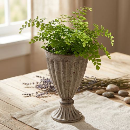 Jardinière Coupe déco antique