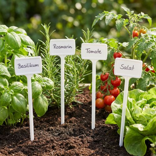 Plaques à identifier pour plantes avec supports interchangeables, 40 cm, 10 pièces | Floristik24.fr