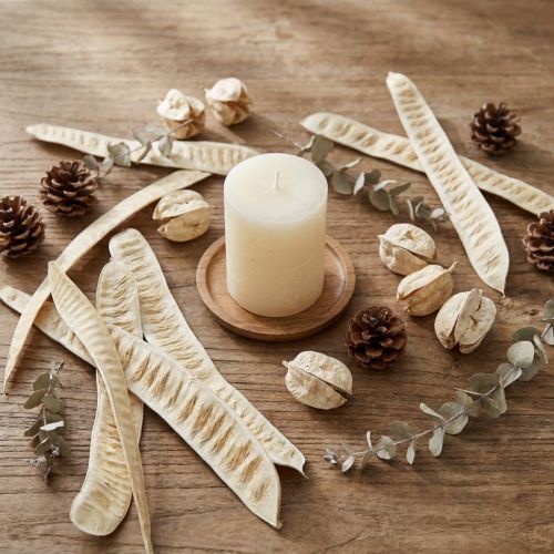 Écorces naturelles blanchies 25 pièces – Décoration exotique | Floristik24.fr