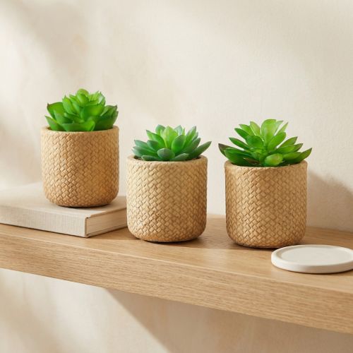 Lot de 3 petites plantes artificielles en pot tressé beige, 10 cm | Floristik24.fr