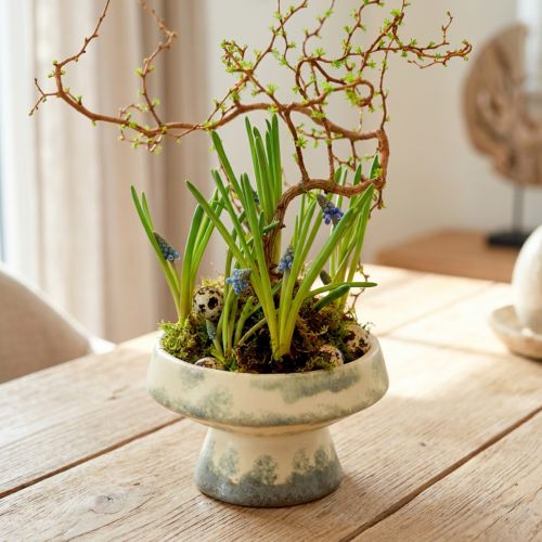 Coupe décorative en céramique avec socle crème et vert gris Ø 17 cm H 10 cm | Floristik24.fr