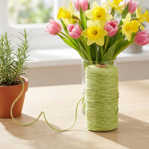 Fil de jute vert clair Ø3 mm 200 m | Floristik24.fr