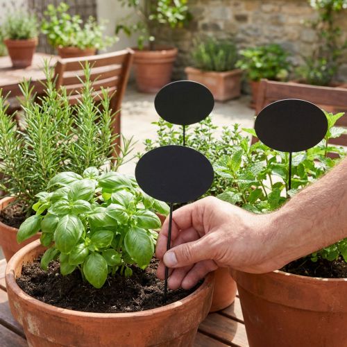 Piquets en bois noirs ovales pour étiquettes de plantes 19 cm - Lot de 12 | Floristik24.fr