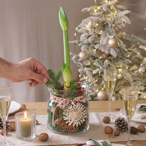 Vase décoratif en verre lanterne verre clair Ø18cm H20cm | Floristik24.fr