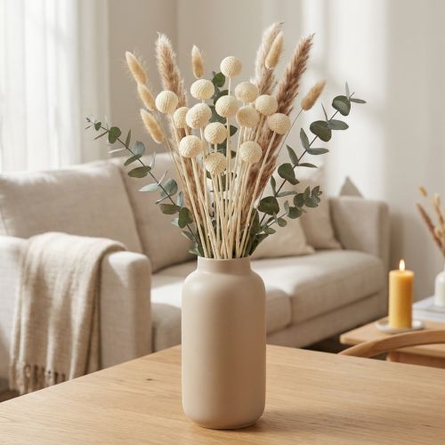Craspedia pilons séchés crème