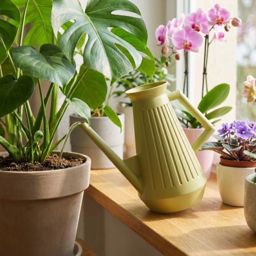 Arrosoir d’intérieur rétro en plastique vert olive 1,8L | Floristik24.fr