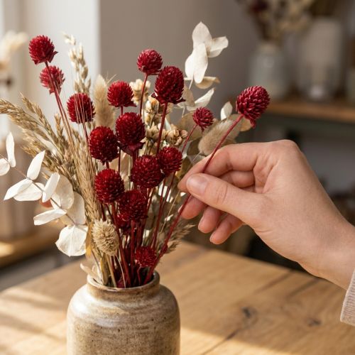 Article Bouquet de fleurs séchées Gomphrena globosa rouge foncé 45 cm 100 g