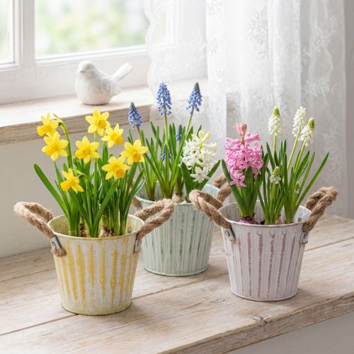 Pots en métal avec poignées en corde, Ø12cm H10cm, set de 3 couleurs pastel | Floristik24.fr