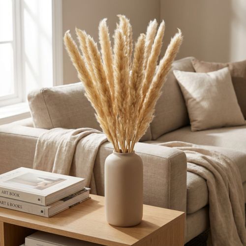 Pampasgras séché crème 70 cm – Lot de 6 | Floristik24.fr