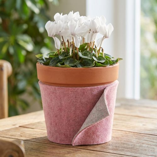 Ruban en feutre, sangle pour pot, bicolore rose antique/gris, 15 cm de large, 5 m de long | Floristik24.fr