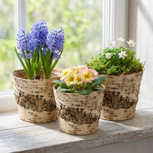 Lot de 3 caches-pots en écorce de bouleau avec doublure en plastique Ø15 cm H13 cm | Floristik24.fr