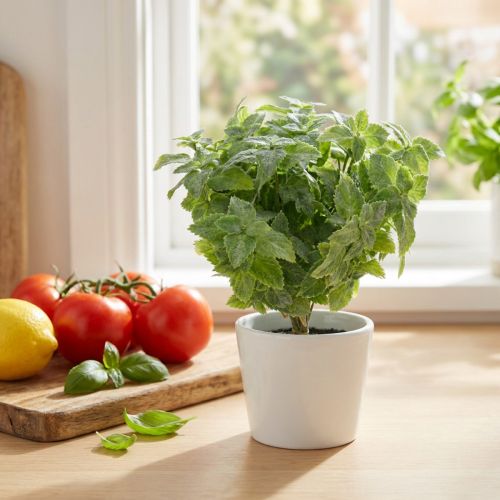 Lot de 12 tiges de menthe artificielle verte 25 cm | Floristik24.fr