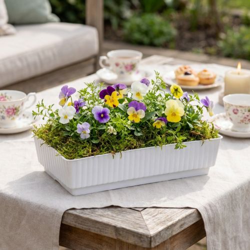 Plateaux floraux en plastique blanc 15 x 8 x 4 cm (lot de 10) | Floristik24.fr