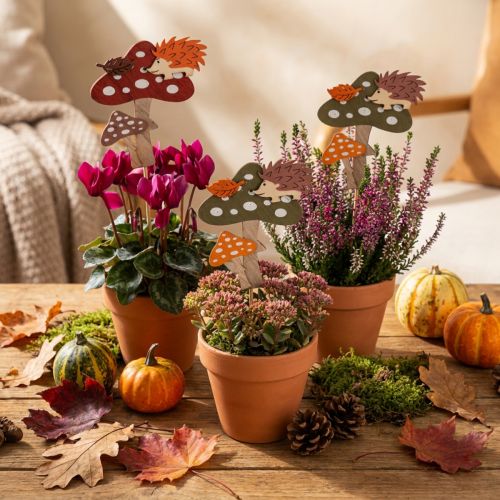 Lot de 12 piques décoratives en bois avec hérisson et champignons – Rouge et vert – 8cm | Floristik24.fr
