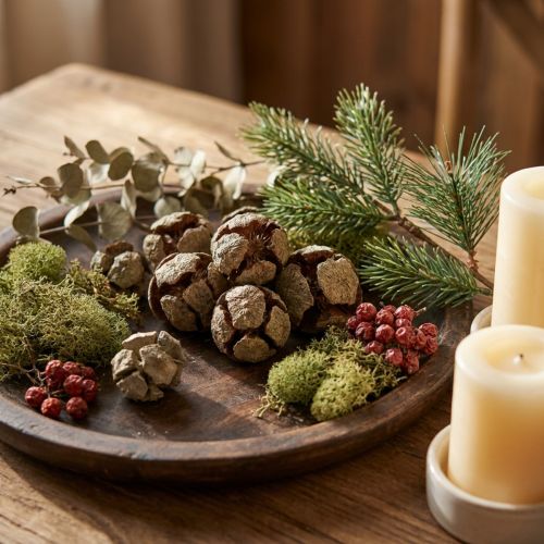 Cônes de cyprès naturels 3 cm 500 g | Floristik24.fr