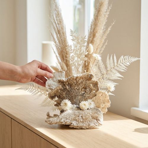 Champignons de Bois Séchés et Blanchis 1kg pour Décoration et Loisirs Créatifs | Floristik24.fr