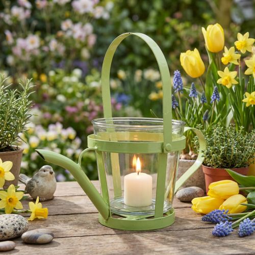 Photophore arrosoir en métal vert et verre Ø14cm H13cm | Floristik24.fr