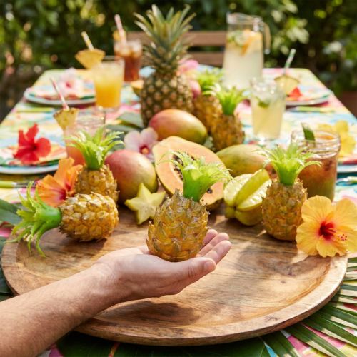 Set de 6 mini-ananas décoratifs en plastique – Ambiance tropicale | Floristik24.fr